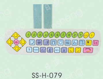 SS-H-079